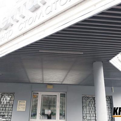 Навіси над вхідною групою / Canopies above the entrance group